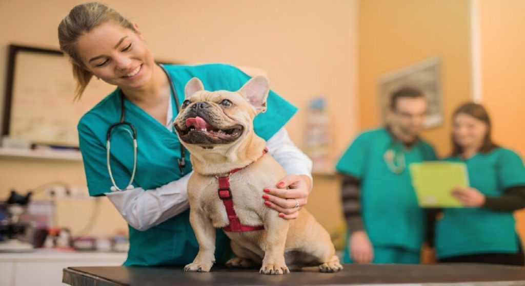مهاجرت دامپزشک به کانادا